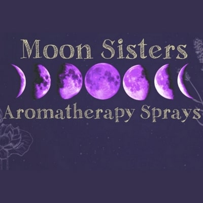 web design portfolio example - Moon Sisters