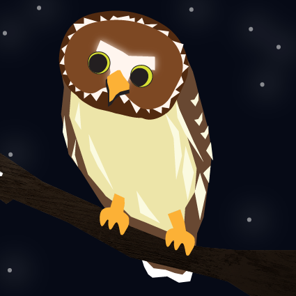 Owl Illustration